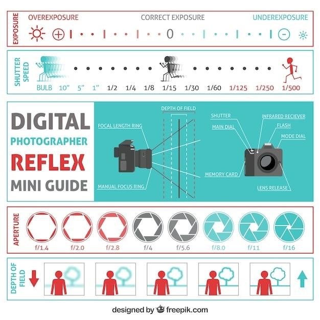 canon pixma pro 100 instruction manual