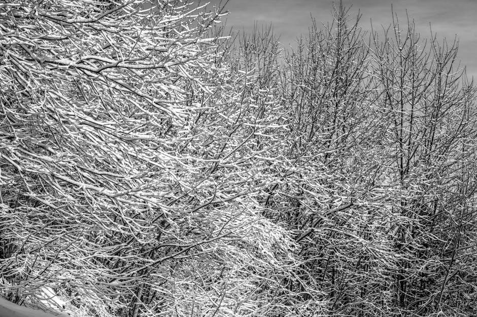 deja de ser tu joe dispenza pdf