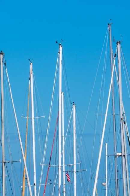 mast test pdf