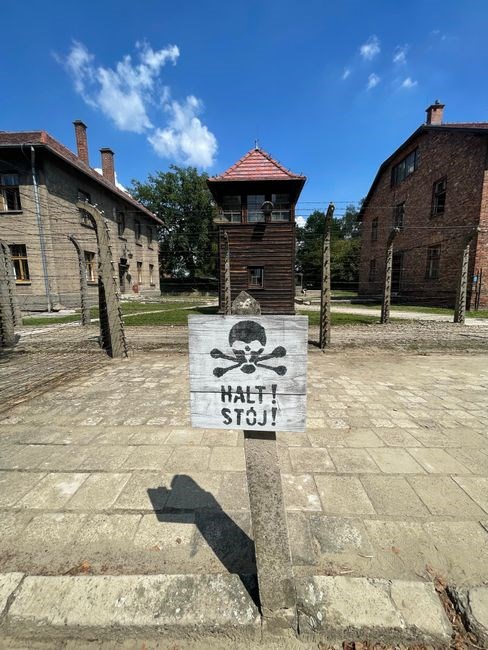 survival at auschwitz pdf
